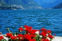 Lago di Como_072